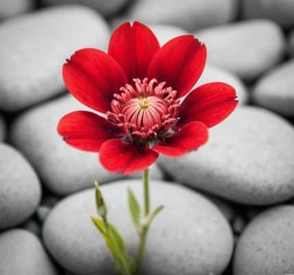 a guide to differentiation strategy
