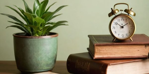 buy and hold investing strategy explained