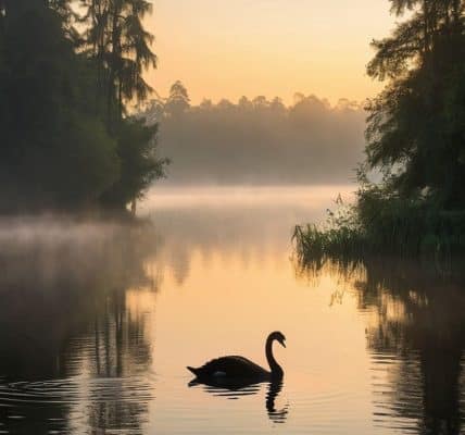Black swan event investing explained