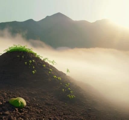 Finding purpose in ego-death, sunrise over mountains